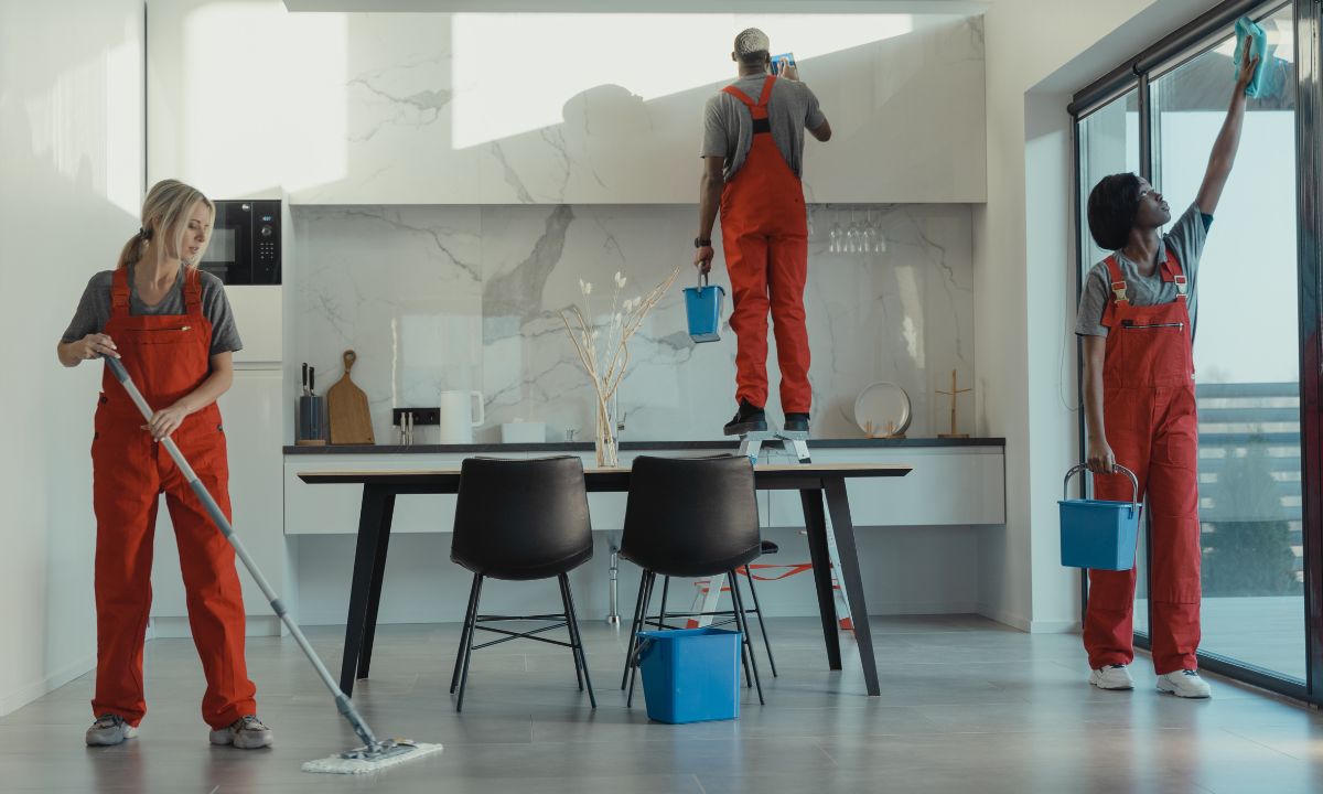 Professional window cleaning